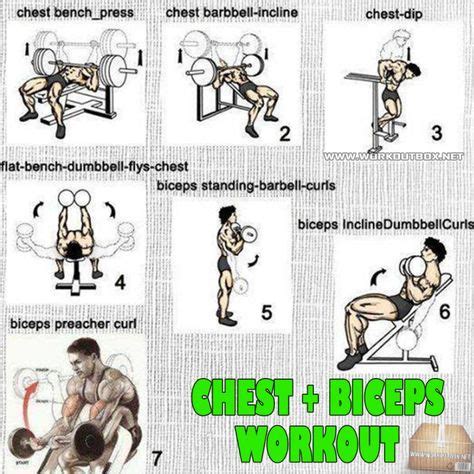 Chest + Biceps Workout Plan - Fitness Training For A Strong Body ...