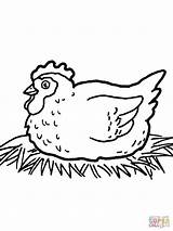 Cooked Chicken Coloring Page At GetDrawings  Free Download sketch template