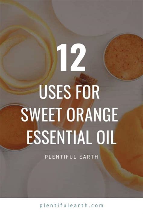 12 Uses For Sweet Orange Essential Oil