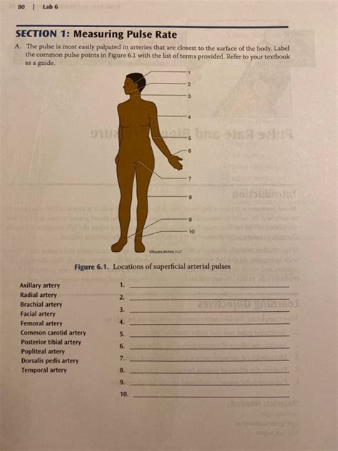 Solved 80 Lab 6 SECTION 1: Measuring Pulse Rate A. The pulse | Chegg.com