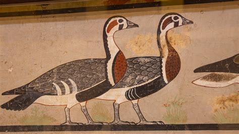 Egyptian Geese | Egyptian Museum Cairo | Lukasz Wielec | Flickr