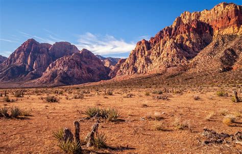 Free Zoom Backgrounds Mountains Deserts Picturesque M - vrogue.co