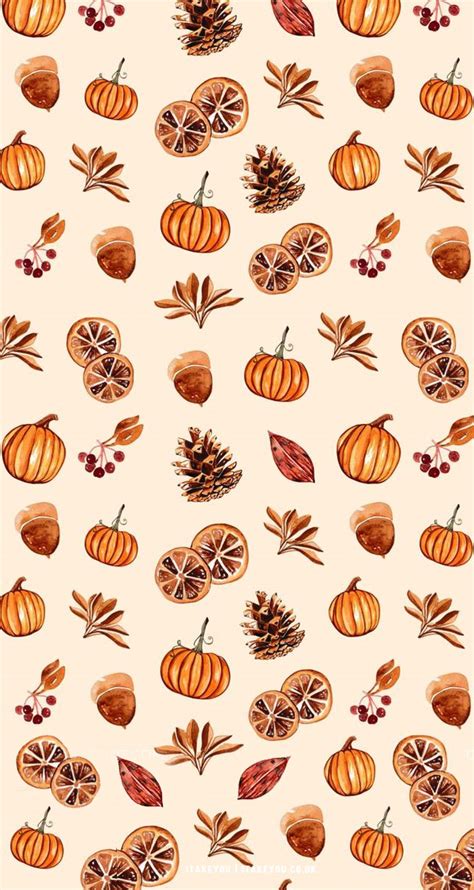 12 Cute Autumn Wallpaper Ideas : Pumpkin & Dried Orange I Take You ...