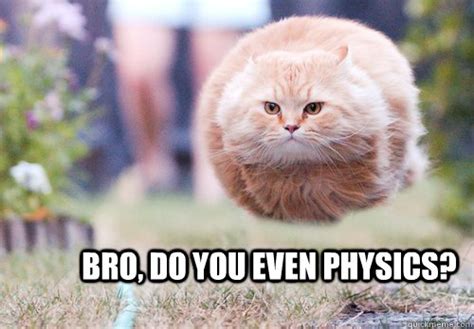 Bro, do you even physics? - Flying cat - quickmeme