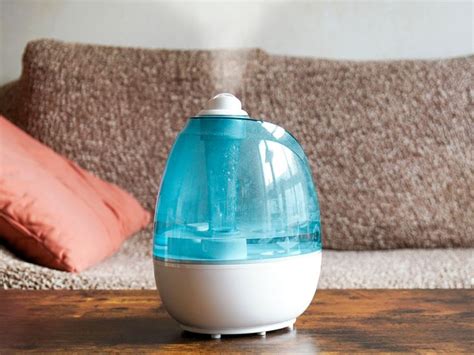 Humidifier for Asthma: Pros and Cons