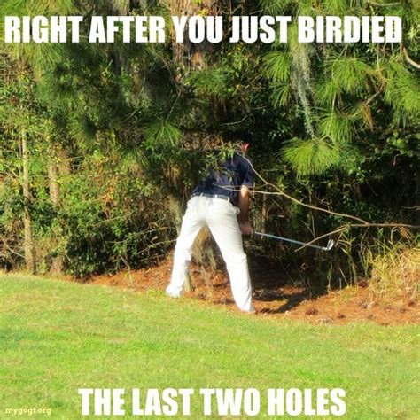 Best Funny Golf Memes and Pictures in 2023