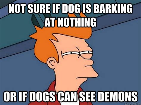 Not sure if Dog is barking at nothing or if Dogs can see demons ...