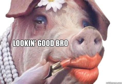 Lipstick on a Pig memes | quickmeme