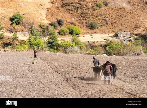 Ploughing methods hi-res stock photography and images - Alamy