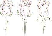 Set of roses. Vector illustration. | Flower drawing, Everyday artist, Drawings