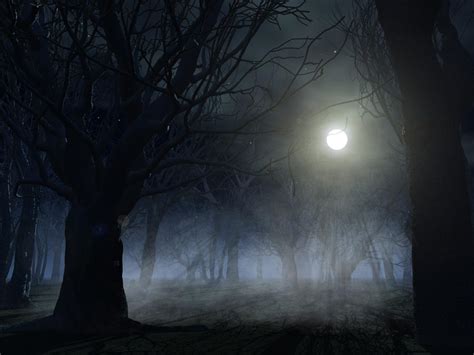 Spooky forest background by indigodeep on DeviantArt