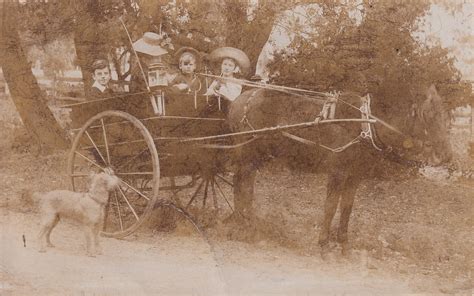 Family in a pony cart [with dog] by Mark Brody (c.1905) | Flickr