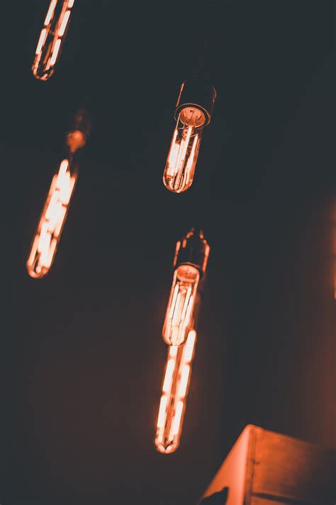 Light Bulbs Turned on · Free Stock Photo
