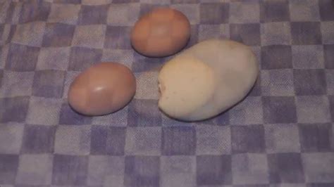 Biggest chicken egg ever? - YouTube