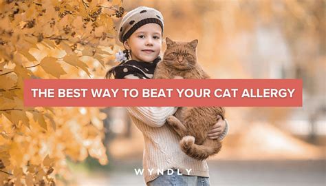 Cat Allergy Drops: The Best Way to Relief (2023) & Wyndly