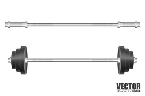 Barbell Vector Art, Icons, and Graphics for Free Download