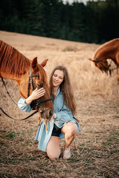 Golden Field during Sunset on a Hot Summer Day Stock Image - Image of ...