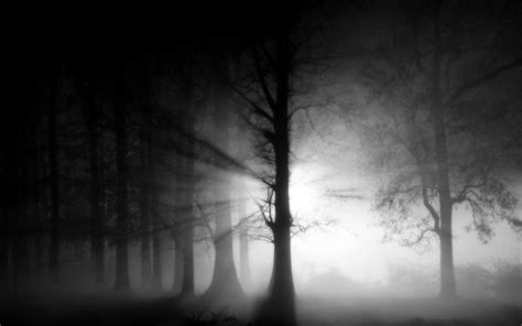 Dark Fog Wallpapers - Top Free Dark Fog Backgrounds - WallpaperAccess