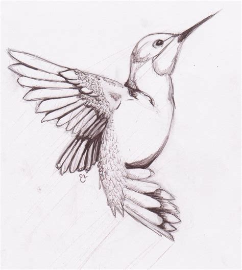 Pin de Nenesse31 en Drawings | Dibujos de colibris, Colibri dibujo ...