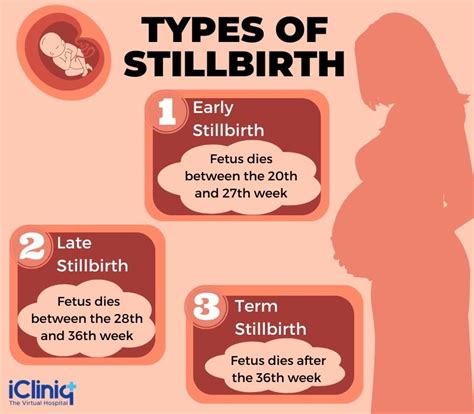 Stillbirth - Types | Causes | Diagnosis | Prevention