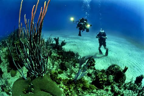 Guide To Scuba Diving In Costa Rica | Drink Tea & Travel