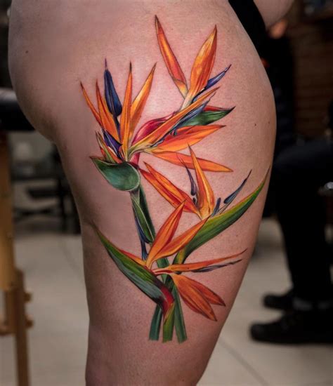 Bird Of Paradise Tattoo Pictures • Half Sleeve Tattoo Site