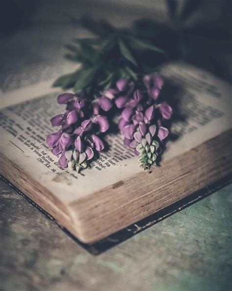 Coming Home To Witchcraft in 2020 | Book flowers, Flower aesthetic, Book aesthetic