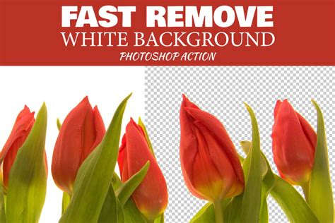 WHITE Background Remover Photoshop Action, Quick Extract Image - FilterGrade