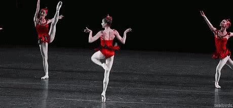 Ballet Ballet Dancer GIF - Ballet BalletDancer Perform - Discover & Share GIFs