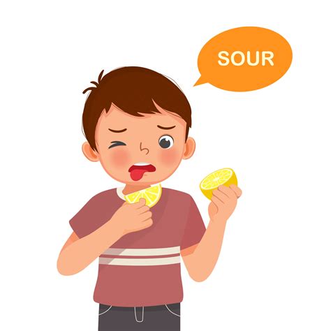 cute little boy holding lemon showing sour taste of tongue five senses 12664165 Vector Art at ...