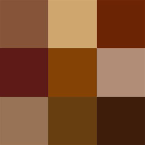 Brown Color Shades - MeaningKosh