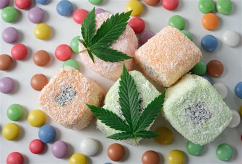 Growth of Cannabis Edibles and the Potential Impact on the Workplace ...