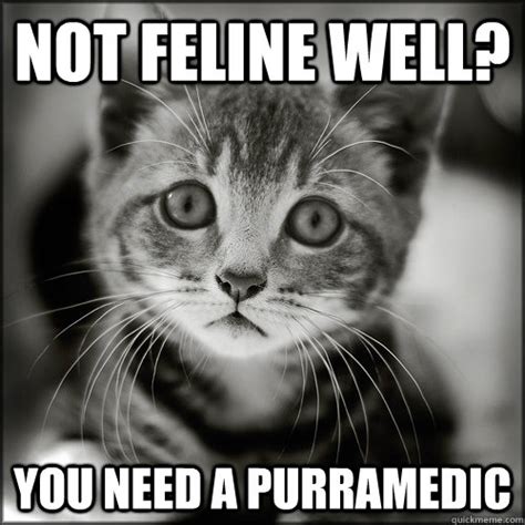 Not feline well? You need a Purramedic - sad your sick kitten - quickmeme