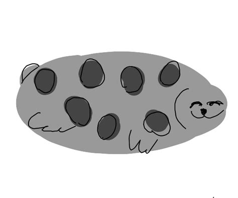 Chonky Seal meme - Drawception