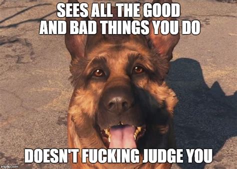 Why Dogmeat is best follower • /r/gaming | Fallout facts, Fallout 4 funny, Dogmeat fallout