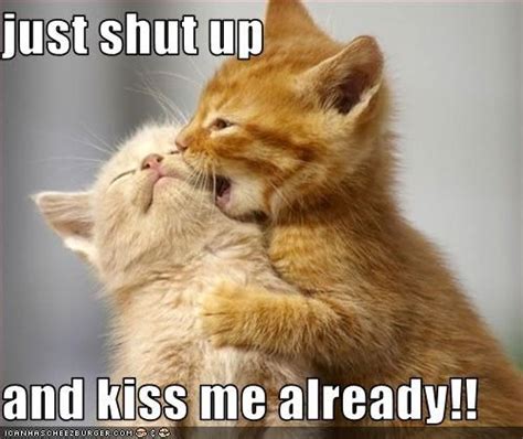 Funny Kissing Cat Meme | It's meme time