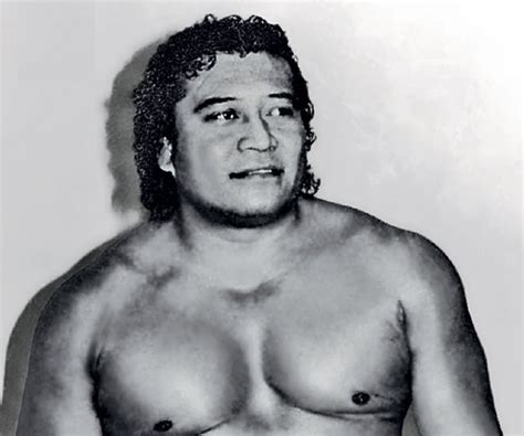 Peter Maivia Biography - Facts, Childhood, Family Life & Achievements