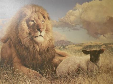 Lion And Lamb Painting