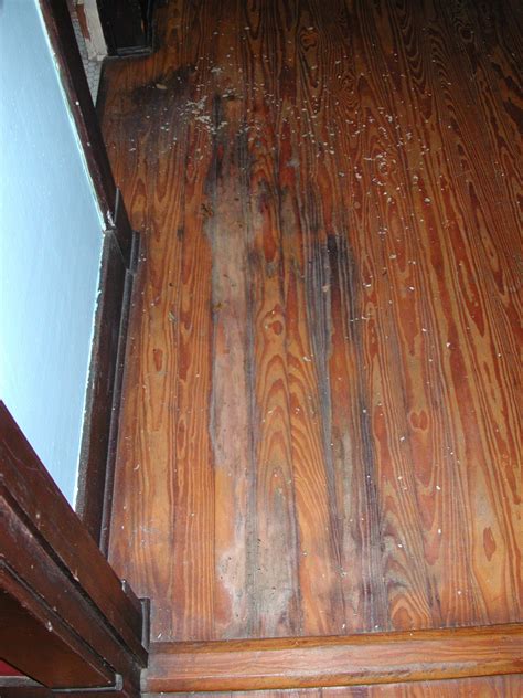 Wood Floor Repair Water Damage – Flooring Ideas