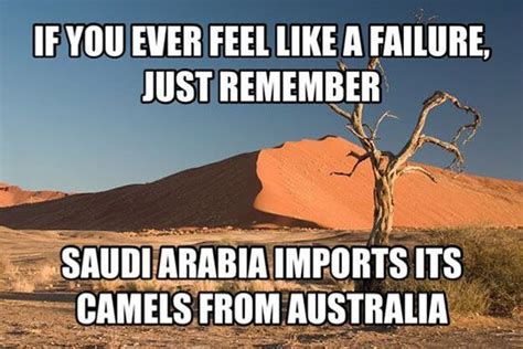 And It's Still 95% Desert | Feeling like a failure, Funny memes, Funny pix