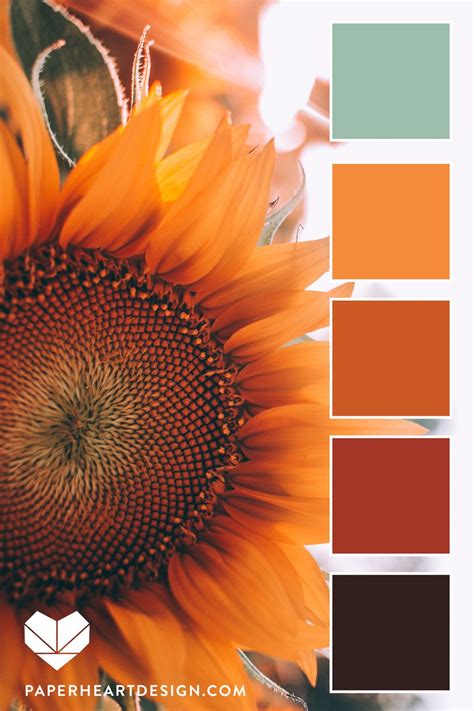 Color Palette 2595 Fall Color Palette Color Schemes C - vrogue.co