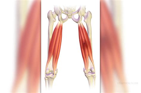 Pulled hamstring symptoms | General center | SteadyHealth.com