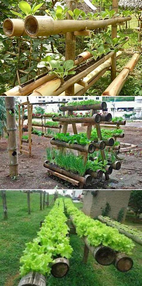 15 The Most Creative Planters Made Out Of Bamboo