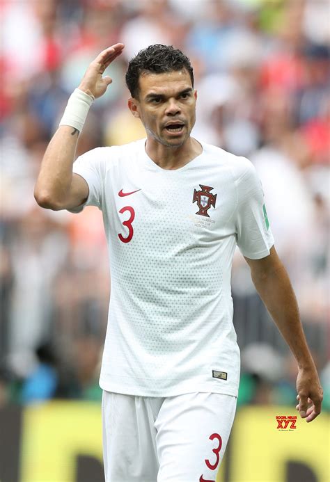 Portugal defender Pepe joins FC Porto - Social News XYZ