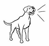 Barking Is A Very Normal Behavior For Dogs Way Dog  sketch template