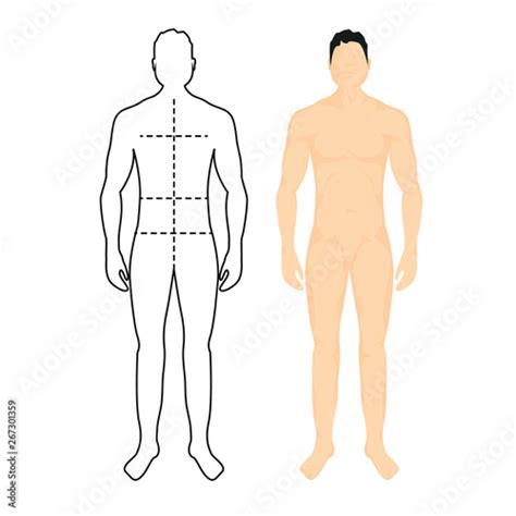 Man anatomy silhouette size. Human body full measure male figure waist ...