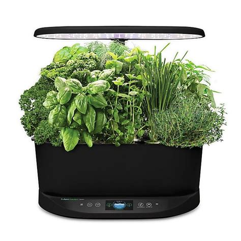 AeroGarden Bounty Basic | Best Top-Rated Products From Bed Bath ...