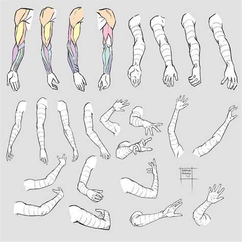 Sketchdump August 2017 [Arms] by DamaiMikaz on DeviantArt | Anatomy reference, Anatomy drawing ...
