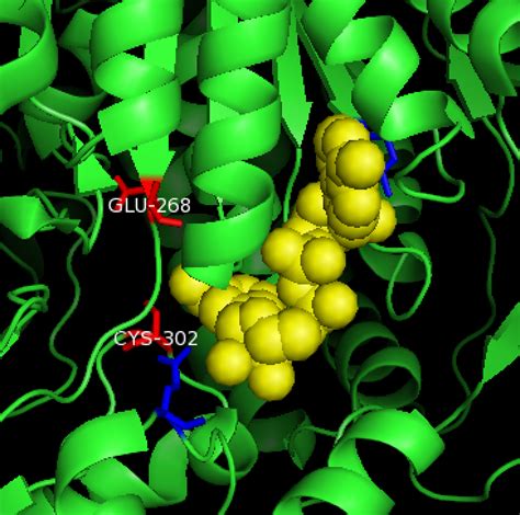 Aldehyde Dehydrogenase – Alcohol Metabolism