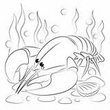 Crustacean coloring Pages  Free Coloring sketch template